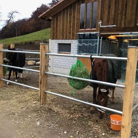 Traumwohnung Auf Kleiner Pferdefarm Daire