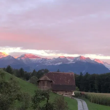 Traumwohnung Auf Kleiner Pferdefarm